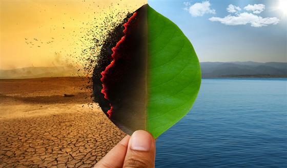 Global Warning! It is real!!